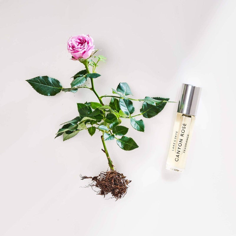 Lake & Skye - Canyon Rose Warm Floral and Vanilla Rollerball Fragrance Oil 0.33 oz (10 ml) - Image 5